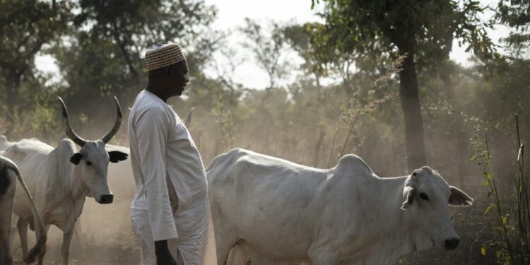 Both Armed Militias And Pro-Government Forces Are Known To Frequently Target Nomads | Afp