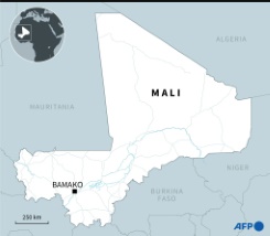 Mali Junta Calls Protests Against Sanctions