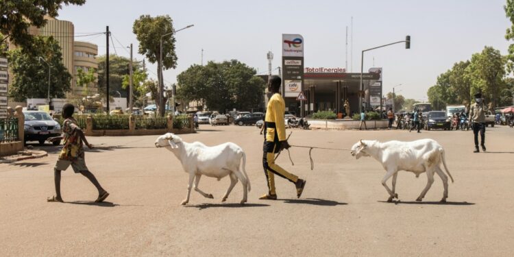 Ecowas Leaders Will Hold A Summit In Accra On Thursday To Assess Whether To Impose Sanctions On The New Junta In Burkina Faso | Afp