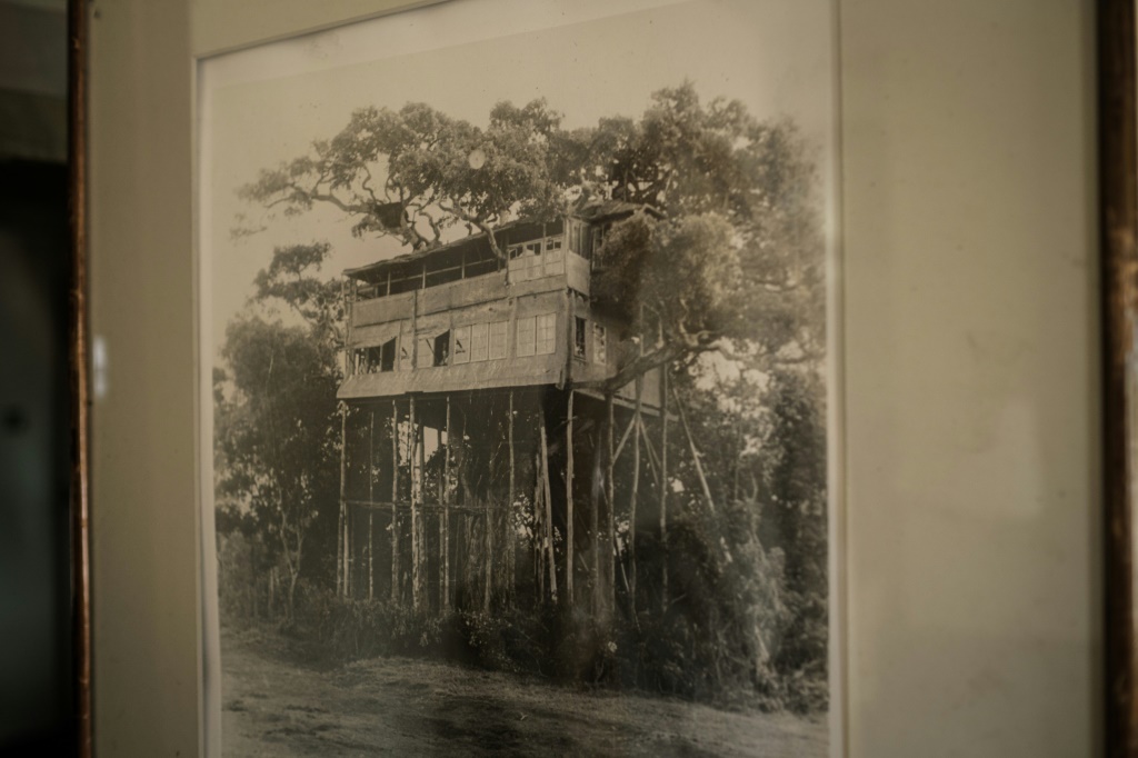A Photo On The Wall Shows The Original Tree House Where Britain'S Queen Elizabeth Ii Of England Stayed The Night Her Father, The King, Died And Became Queen In 1952, At Treetops Lodge In Aberdare Narional Park In Nyeri, Kenya | Afp