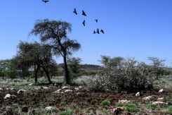 Livelihoods Lost As Climate Disaster Woes Mount In Kenya