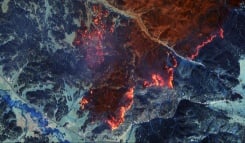 World Must Brace For More Extreme Wildfires: Un