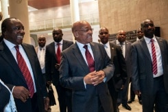 Mandela Ally Reflects On Crises As S.africa Celebrates Freedom