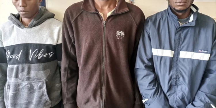 Three Suspects Arrested For Murder Of 19-Year-Old Kimc Student Purity Wangechi