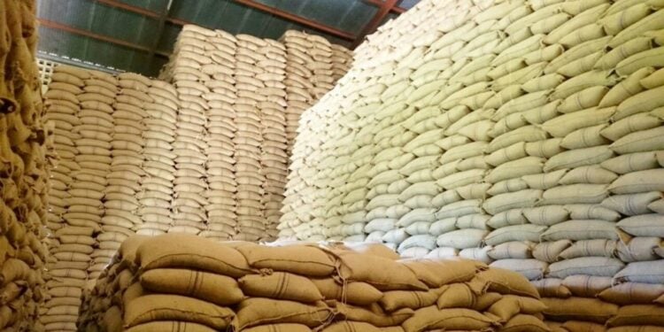 Kenyans To Import Maize