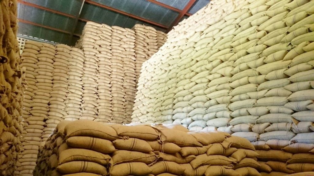 Kenyans To Import Maize