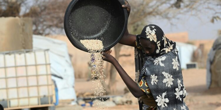 African Union Head To Speak To Putin Friday In Russia The War In Ukraine Has Sent The Cost Of Fuel, Grain And Fertilizers Skyrocketing , Which Is Being Acutely Felt In Africa |Afp