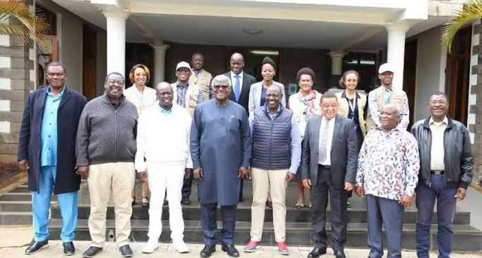 Au-Comesa Observer Mission Meets Ruto In Karen