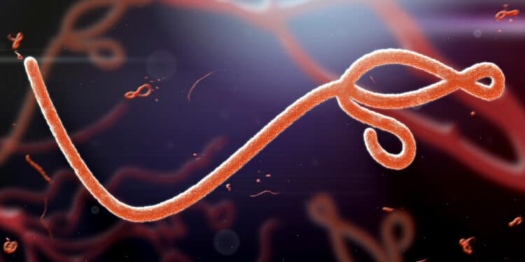 Trump Administration’s Ebola Travel Restrictions Trigger Dispute With Who