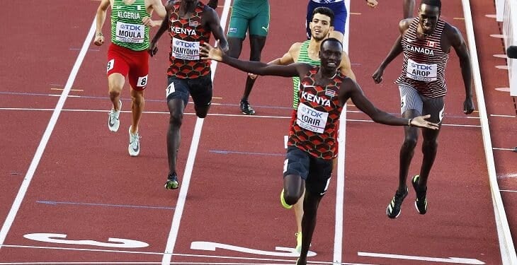 Korir
