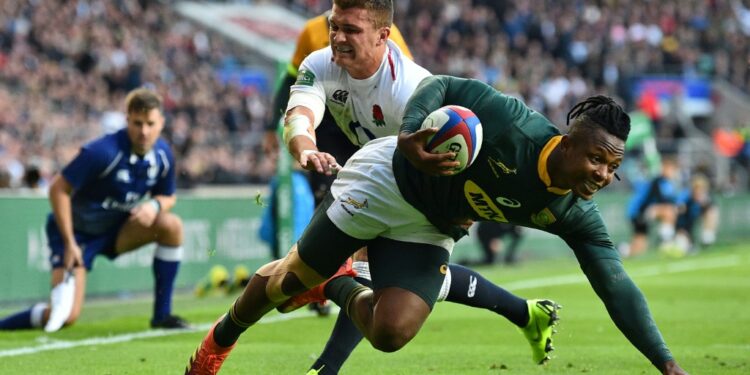 Springboks Recall Arendse, Nkosi For Argentina Test Sibusiso Nkosi