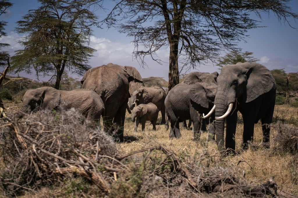 Kenya