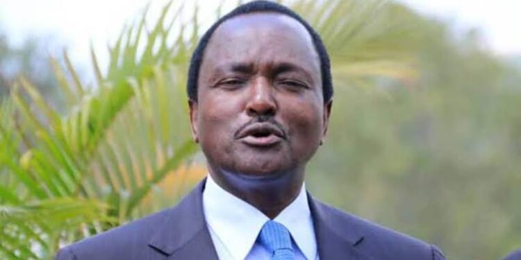 &Quot;Respect Hustlers!&Quot; Kalonzo Angers Kenya'S Business Community With Ruto Remarks
