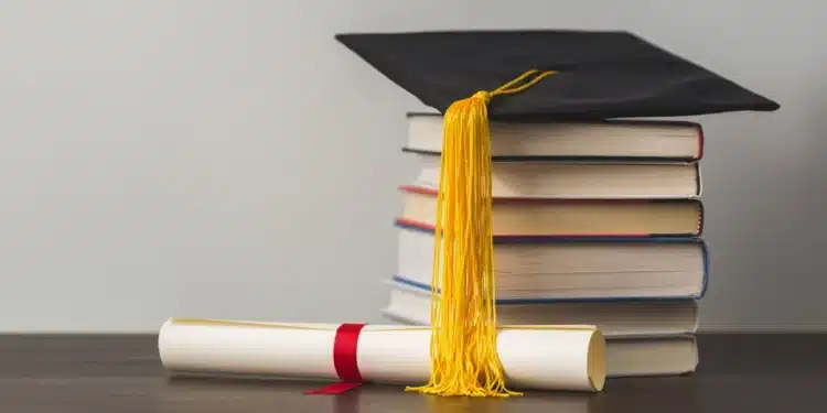 Wacha Ikae: Lady Burns 'Worthless' Degree After Failing To Secure A Job Soko Recorded Herself Burning Her Degree. Photo: Courtesy.