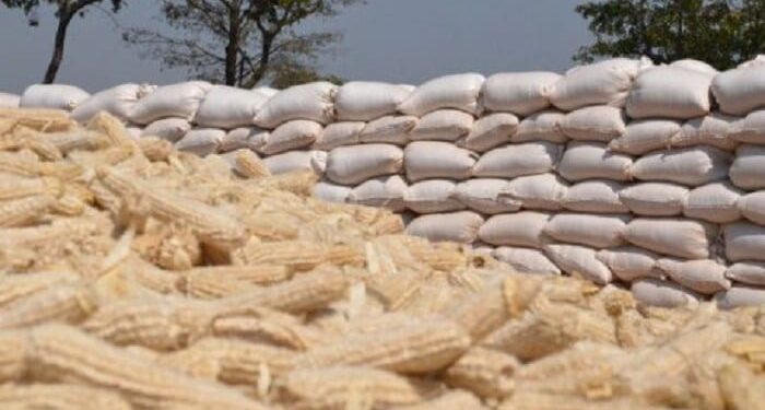 Mutahi Kagwe Sets 30-Day Deadline For Maize Hoarders As Govt Moves To Stabilise Prices