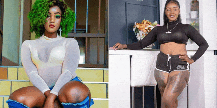 Kenyans Mauled Shakilla Online For Sharing A Fake Mpesa Balance Message. Photo: Nairobi News.