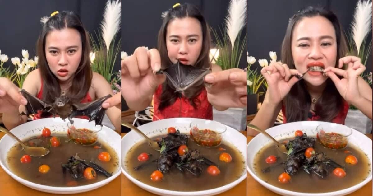 Thai