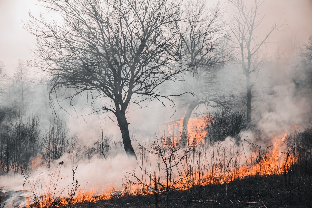 The Summer Of 2022 Was The Hottest On Record, According To The Eu’s Copernicus Climate Change Service.
Photo: Courtesy