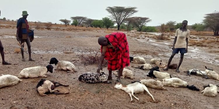 President On Drought