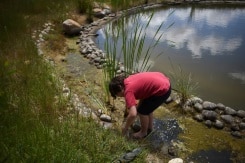 Eco Warriors: S.africa School Puts Green Issues At Heart Of Teaching