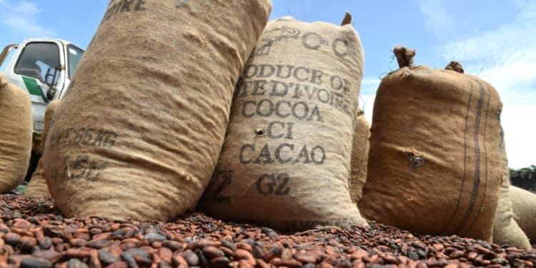 I. Coast, Ghana Ease Tug-Of-War With Buyers Over Cocoa Prices Ivory Coast