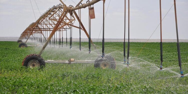 Galana Kulalu: Will President Ruto Make The Dream A Reality? A Site Within The Expansive Galana Kulalu Irrigation Project.president Ruto Has Announced Plans To Revive The Scheme.photo/Nia