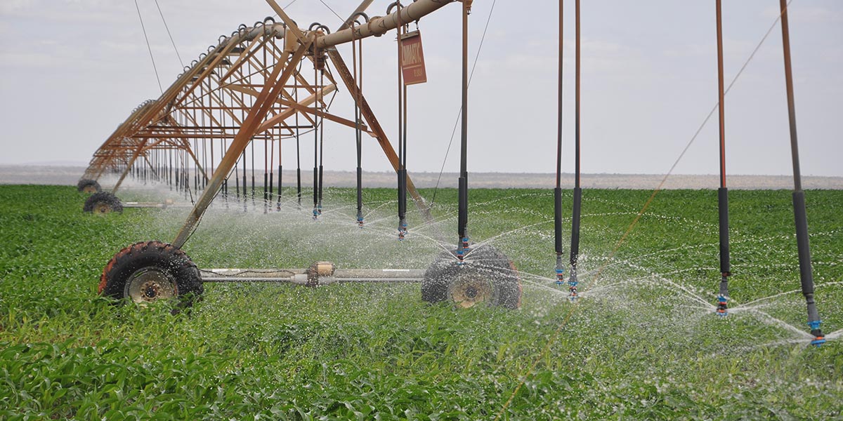 Galana Kulalu: Will President Ruto Make The Dream A Reality? A Site Within The Expansive Galana Kulalu Irrigation Project.president Ruto Has Announced Plans To Revive The Scheme.photo/Nia