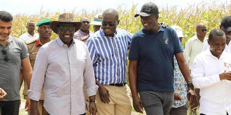 Nairobi Mcas Term Sakaja Impeachment Threats As Premature Nairobi Governor Johnson Sakaja (In Stripped Shirt) With President William Ruto During A Tour Of The Galana Kulalu Project.photo/Courtesy