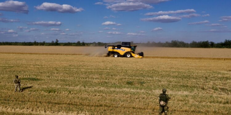 World Food Prices Hit Record High In 2022 Ukraine