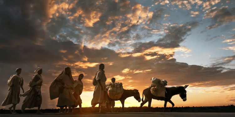 China’s Demand For Africa’s Donkeys Is Rising. Why It’s Time To Control The Trade Women Walk With Their Donkeys In Ethiopia’s Amhara Region | Buena Vista Images/Gettyimages