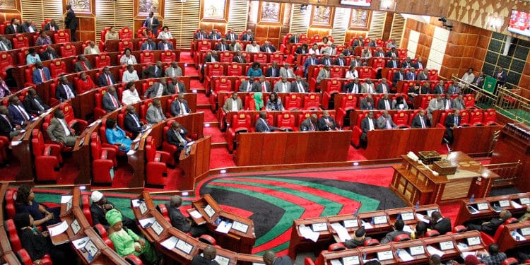 Mps Allocated Sh2.9 Billion For Ng-Cdf Kitty Mps