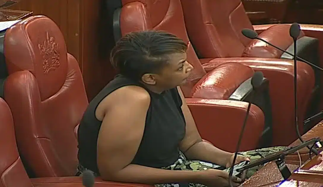 Nominated Senator Karen Nyamu In Senate
Photo Courtesy