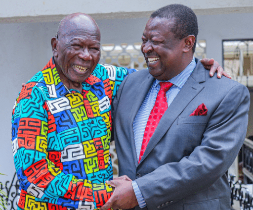 Moody Awori Says Politicians Should Stop Sideshows And Support The Govt'