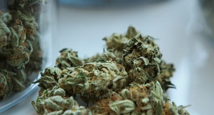 Study Shows Significant Health Impact Of Marijuana On Fetal Development

Photo Courtesy