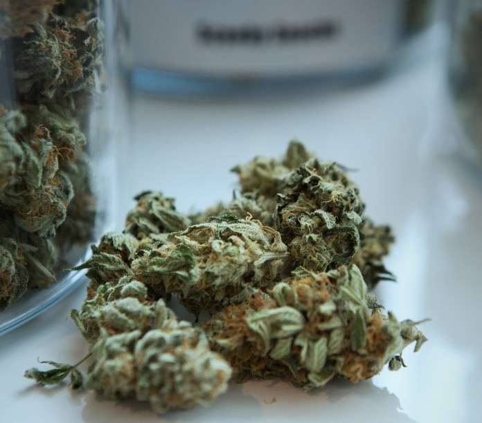 Study Shows Significant Health Impact Of Marijuana On Fetal Development

Photo Courtesy