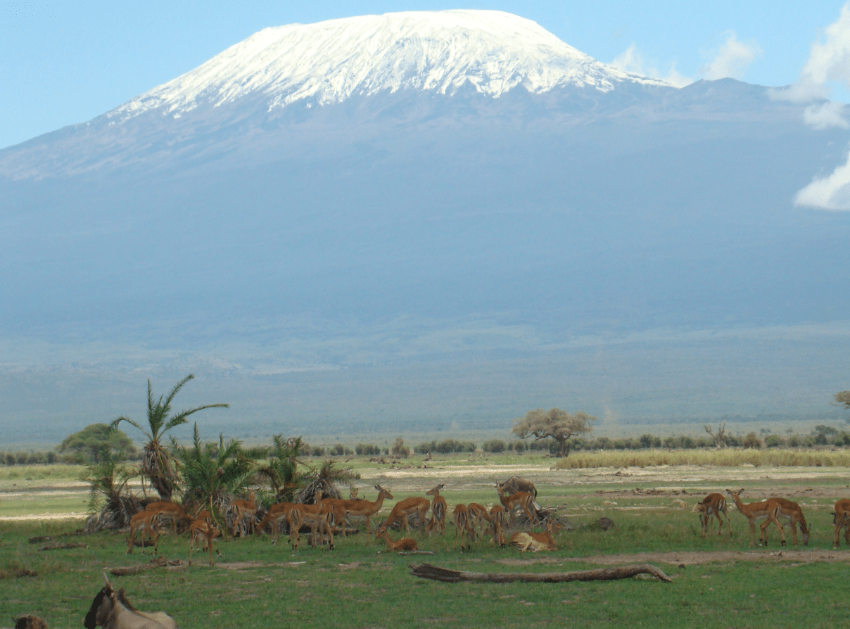 Discover The Beauty And Diversity Of Tourism In Kenya: Everything You Need To Know