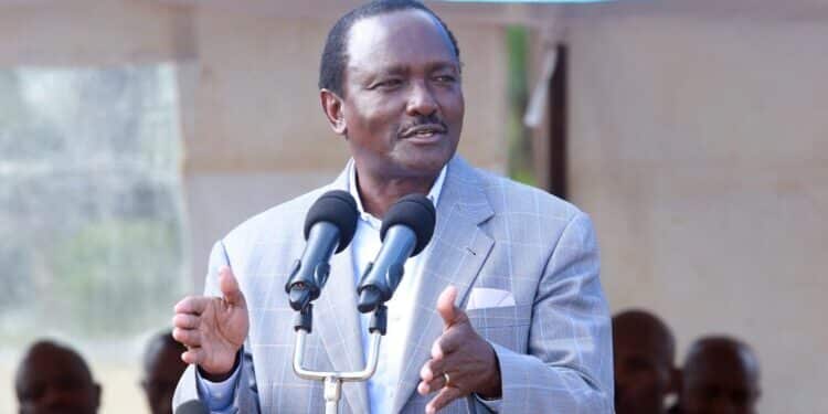 Raila Confirmed The Arrest And Detention Of Kalonzo Musyoka.
