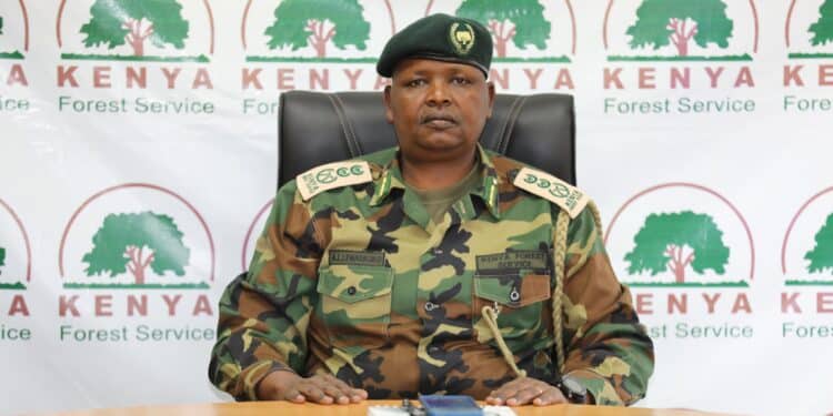 Kenya Forestry College Invites Applications For Specialized Forestry And Conservation Courses