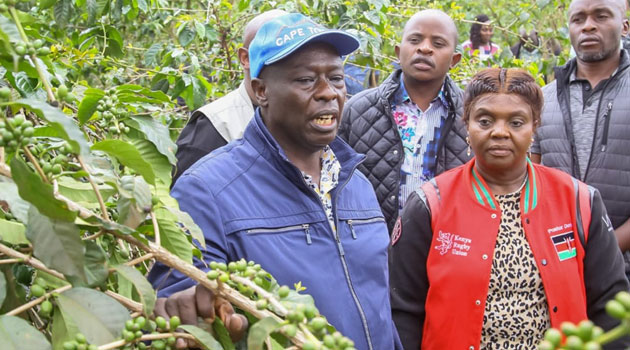 Give Me Another Year To Crush Cartels - Gachagua Deputy President Rigathi Gachagua Has Asked Farmers To Endure For More Time As The Government Works On Fighting Coffee Cartels As They Try To Revive The Sector.