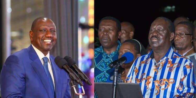 Ndindi Nyoro Wants Ruto-Raila Talks Stopped