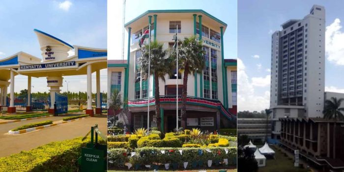 List Of 18 Degree Courses That Attracted Only One Student Countrywide In The 2026 Placement, The Data From The Placement Service Indicates That Kuccps Received Results For Over 980,000 Eligible Candidates.