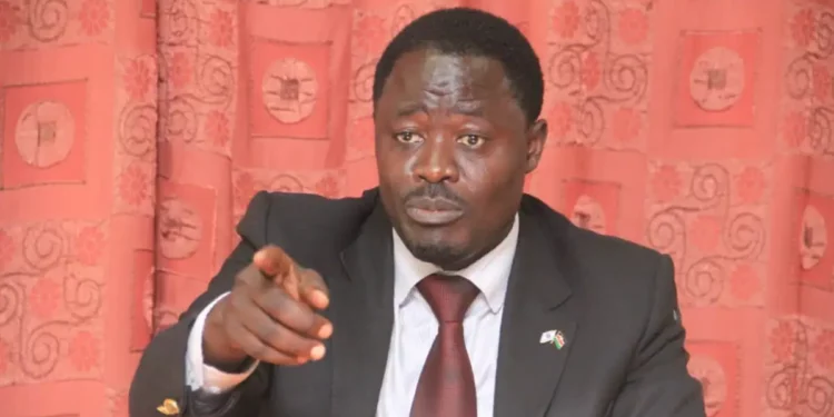 Truth Behind Kenyan Farmer Harvesting A Giant Sweet Potato Bungoma Town Mp Peter Kaluma Storms Put A Discussion At Ktn