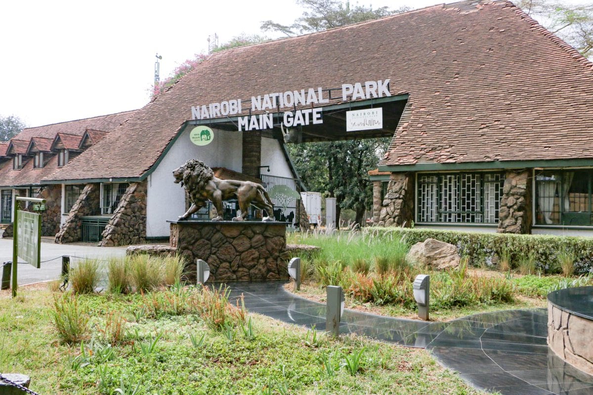 Kws Responds To Nairobi National Park Main Gate Long Queues