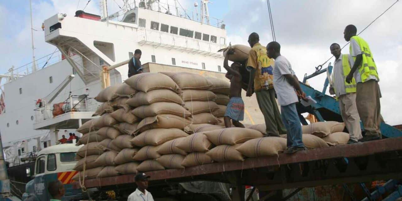Last Minute Move Stops Govt From Destroying Poisonous Rice The Four Government Agencies Failed To Destruct The Containers Of Rice.