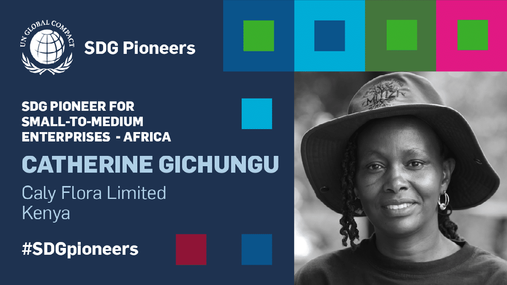 Kenyan Businesswoman Honored By United Nations Kenyan Entrepreneur Catherine Gichungu Honored As Un Global Compact 2023 Sdg Pioneer