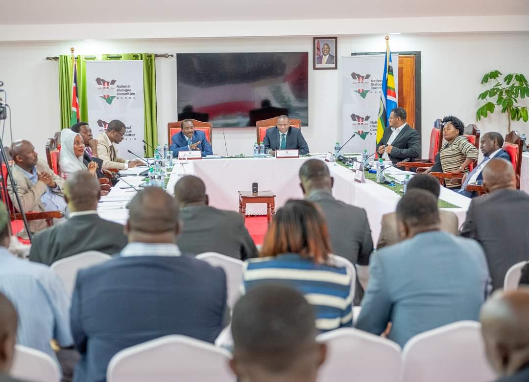 Senator Dismisses Reports Ruto-Raila Talks Costing Millions