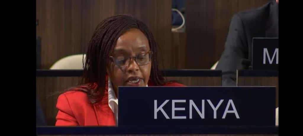 Ambassador Phyllis Kandie Represents Kenya In A Past Conference. 
