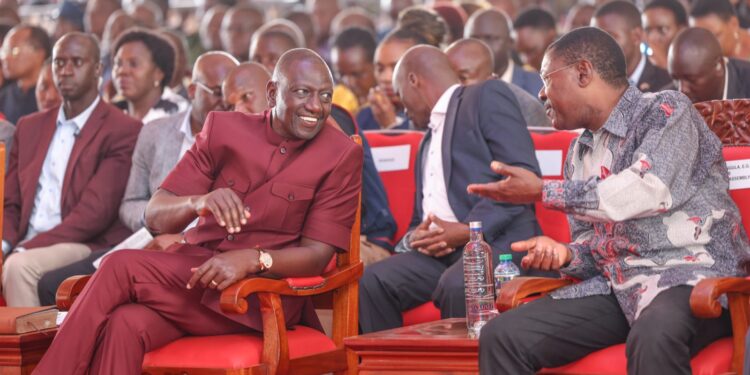 Wetangula'S Ally Confirms Push For 30% Share Promised Malala Is The Uda Secretary General While Ruto Is The Party Leader. Chikati