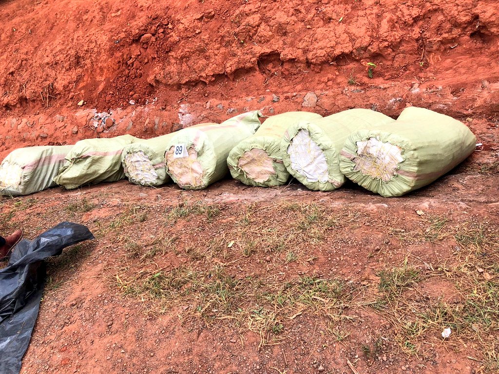 Dci Seize Bhang Worth Ksh9.4M After Vehicle Crashes In Ditch