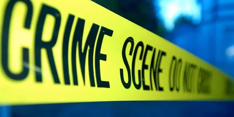 Female Students Make Shocking Confession To Killing Club Owner. Female Students Make Shocking Confession To Killing Club Owner
